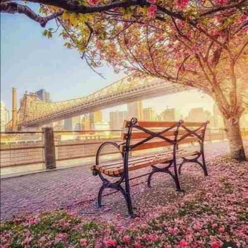 دانلود آهنگ زلف بر باد مده تا ندهی بر بادم (هوش مصنوعی) 