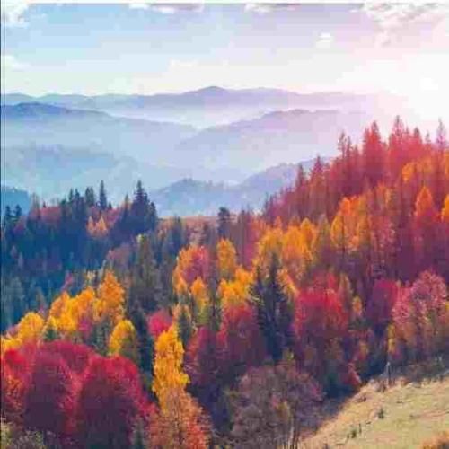 دانلود آهنگ ای جان ای جان از کجای کیهان در قالب انسان اومدی 