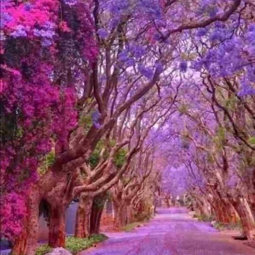 دانلود آهنگ من بی تو نمیتونم تو این دنیا بمونم ورژن فارسی 