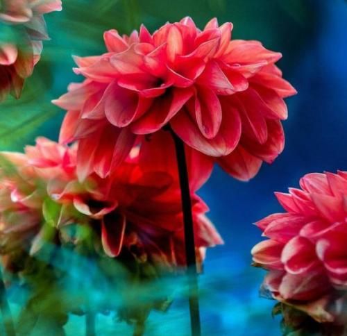دانلود آهنگ داغ عشق تو سیگاریم کرد نفس با صدای دختر 