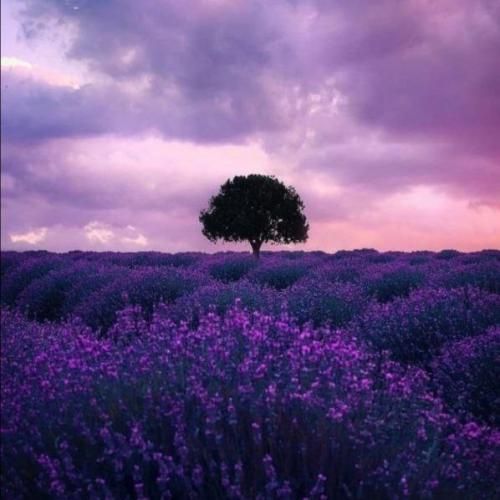 دانلود آهنگ وای اﮔﻪ ﻋﺎﺷﻘﻢ ﺑﺸﻰ ﭼﻰ ﻣﻴﺸﻪ ﭼﻰ ﻣﻴﺸﻪ 