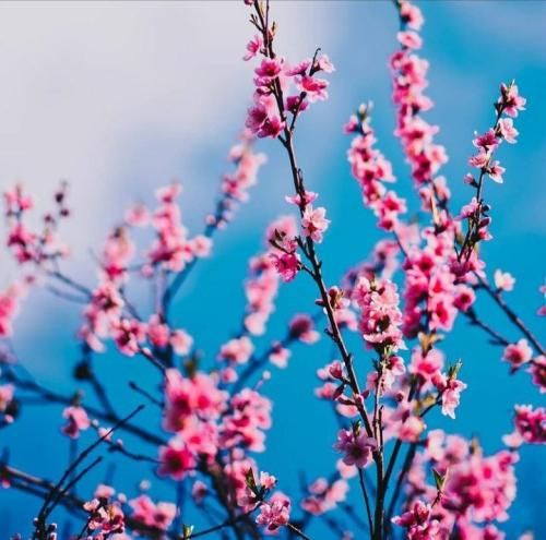 دانلود آهنگ ترکی وقتی نیستی اگه این قلبو روشن کنم با صدای زن 