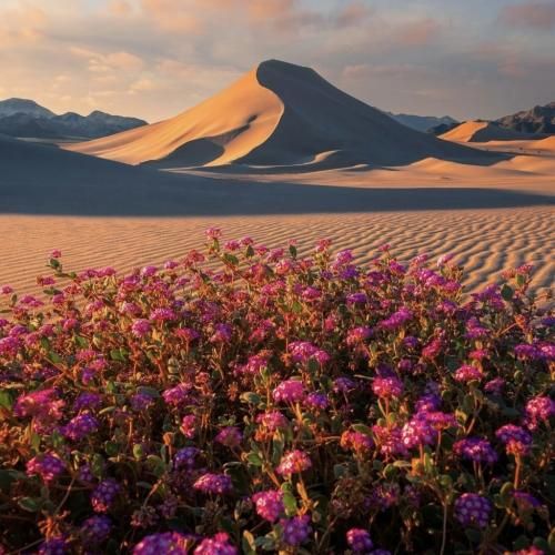 دانلود آهنگ خارجی استار استار استار یه ستاره درخشانیم 
