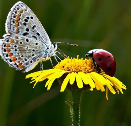 دانلود آهنگ از زندگی از این همه تکرار خسته ام با صدای زن 