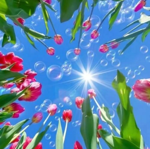 دانلود آهنگ خیالی نیست رد بزن عشقم با صدای پسر 