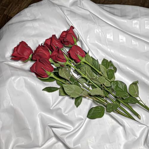 دانلود آهنگ من که لبام عنابیه چشام به رنگ آبیه با صدای دختر 