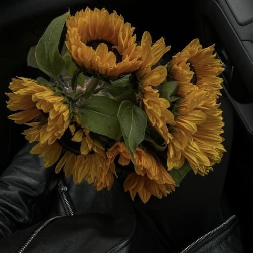 دانلود آهنگ بیبی من داره میگیره وضوش خوب میگیره با اصولش 