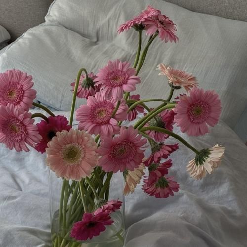 دانلود آهنگ روی چشمام قدمته کلی عشق از من طلبته با صدای زن 