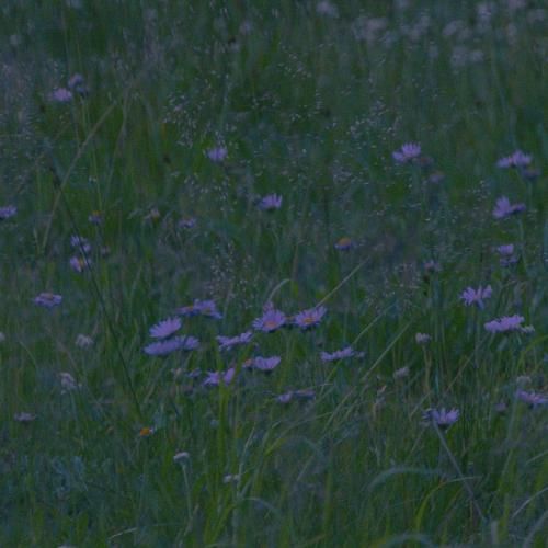 دانلود آهنگ من از اون آسمون آبی میخوام با صدای پسر اینستایی 