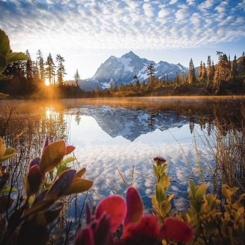 دانلود آهنگ ولی من واسه دل تو همه کاری کردم با صدای پسر 