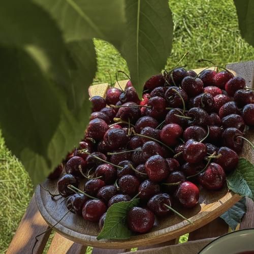 دانلود آهنگ واسه اون عطر منو بخر تا خوابید فکر بکنی منم دشی