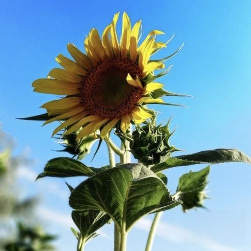 دانلود آهنگ حیف حیف که عمرم به پای تو هدر شد حیف 