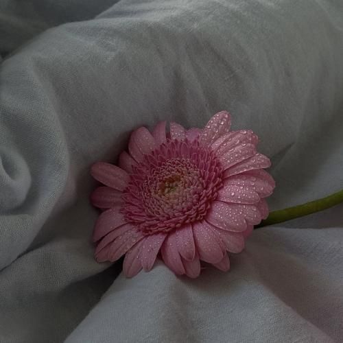 دانلود آهنگ بم میگن بمون نرو بری بده میگم ما 