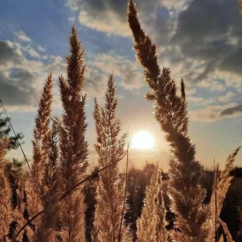 دانلود آهنگ تو یه لنگه از خودت جا گذاشتی سیندرلا تو رویای کودکیم 