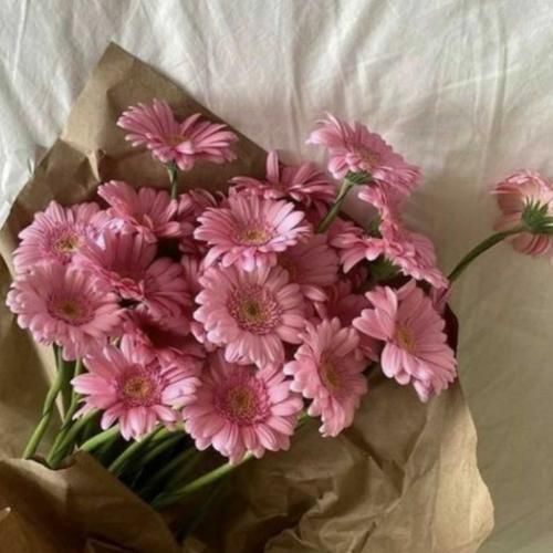 دانلود آهنگ شبو هرشب توی رویای منی تو امید دل 