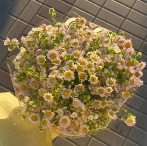دانلود آهنگ چه جوری با دلم سر نبودنت کنار بیام – هوش مصنوعی 