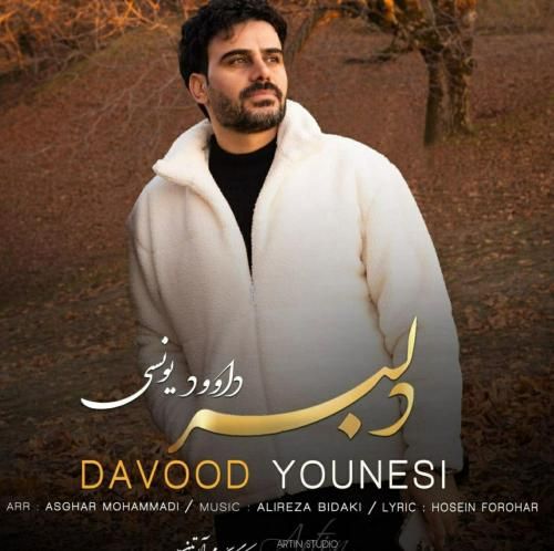 دانلود آهنگ دلبر داوود یونسی