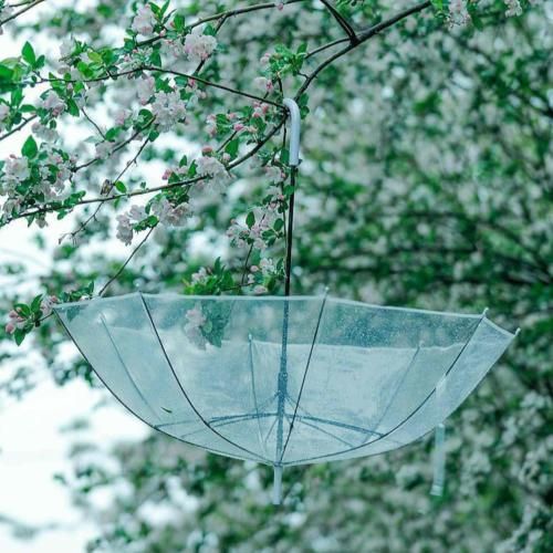 دانلود آهنگ وقتی که گل در نمیاد 