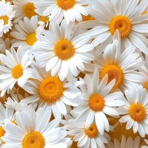 دانلود آهنگ خیلی غریبی واسه من از چه شبی جدا شدی 