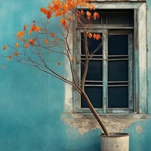دانلود آهنگ تیکه پاره تر از این گلای پرپرم 