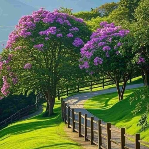 دانلود آهنگ کفتره کشته پروندن نداره رو خاک 
