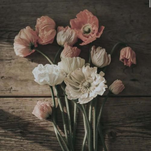 دانلود آهنگ به خدا بی تو دلم پر از غمه همه دنیا برام 