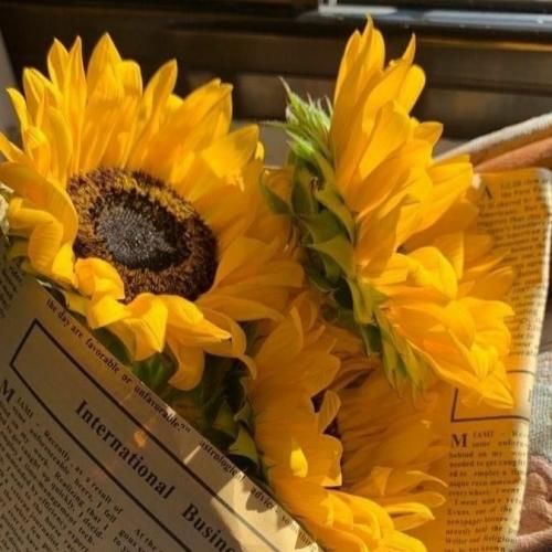 دانلود آهنگ تو با خوشحالی و امید منو تنهایی و حسرت 