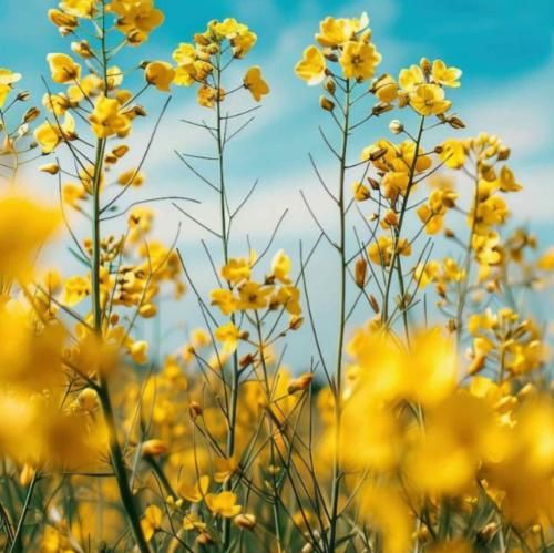 دانلود آهنگ نفسم بودی ولی یه تجربه شدی و بس 