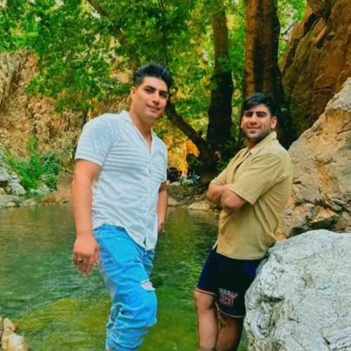 دانلود آهنگ لعنت به این گریه ها که شدن بی صدا امین فالجی