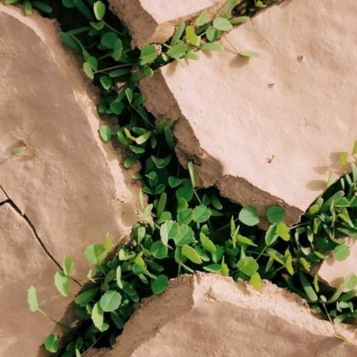 دانلود آهنگ وای که چقدر قشنگی داری سر دلت با می‌جنگی – هوش مصنوعی 