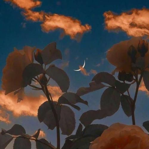 دانلود آهنگ آخه بابا پیرت بسوزه عاشقی 