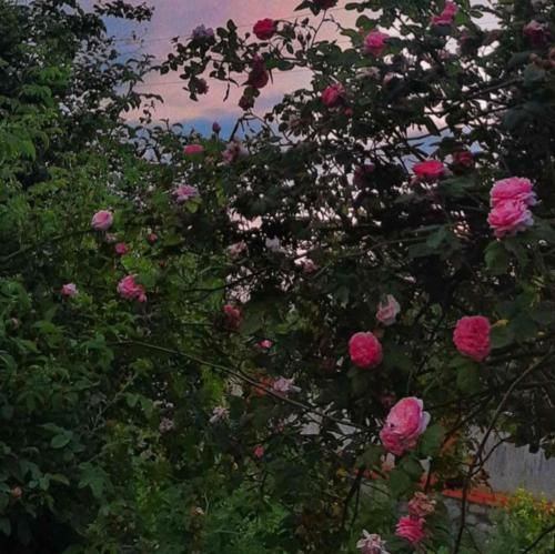 دانلود آهنگ ﻧﭙﺮس در ﻫﻮای ﺗﻮ ﻛﺪام ﻟﺤﻈﻪ ﮔﻢ ﺷﺪم – هوش مصنوعی 