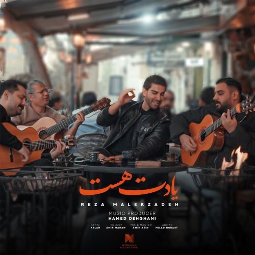 دانلود آهنگ یادت هست رضا ملک زاده