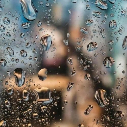 دانلود آهنگ یاد تو گل کرده تو باور خونه – هوش مصنوعی 