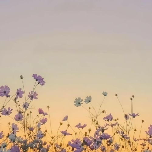 دانلود آهنگ چرا مادر شوهر می‌جنگه میگه چقدر ژل زده پلنگه 