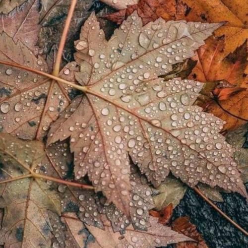 دانلود آهنگ یادته اون عشق رسوا یادته اون همه دیوونگی ها 