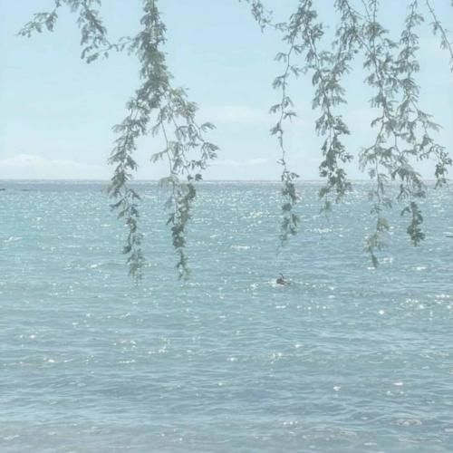 دانلود آهنگ علم غیب داری تو فال بینی تو 