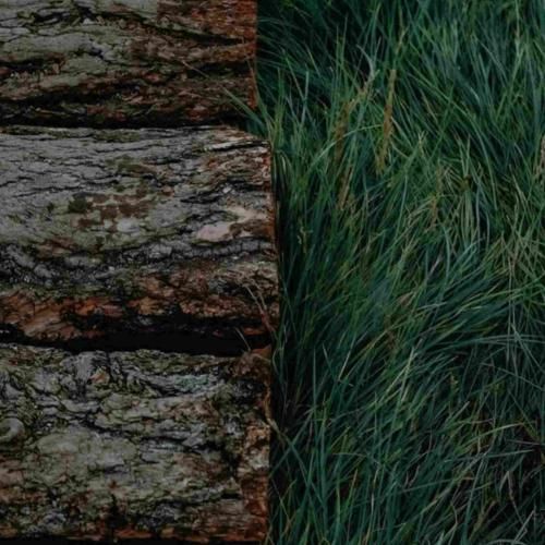 دانلود آهنگ همه ماندن همه خواندن به هوای یاد تو ماندن 