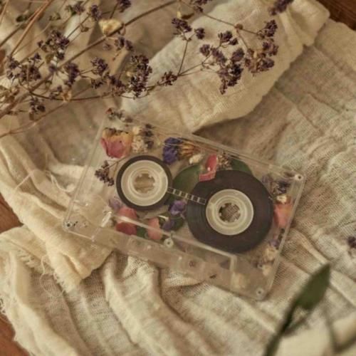 دانلود آهنگ وقتی تو نیستی قلبم و واسه کی تکرار بکنم 