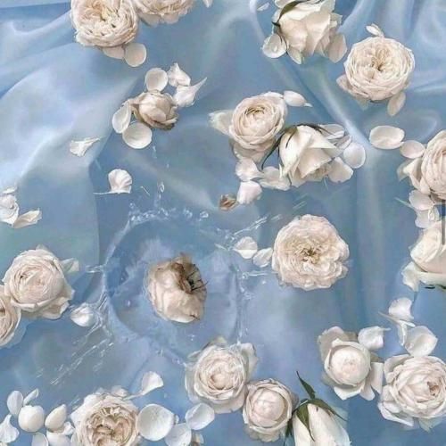 دانلود آهنگ یه جور میذارم سنگ تموم انگار برا منه نه دیگرون 
