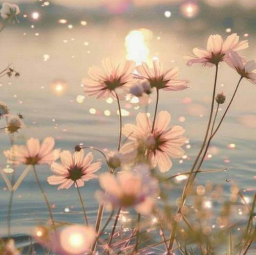 دانلود آهنگ رفتی و خاطره های تو نشسته تو خیالم 