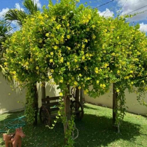 دانلود آهنگ تو که چشمات دیگه سویی نداره طاقت دیدن دوری نداره 