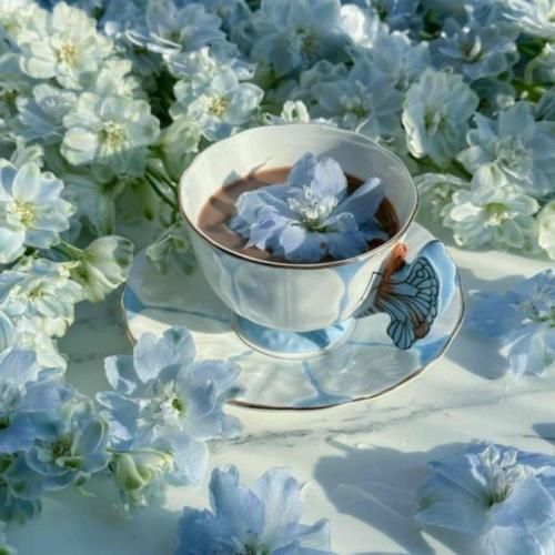دانلود آهنگ اگه برگردی پیشم واست پروانه میشم پای دردات میشینم 