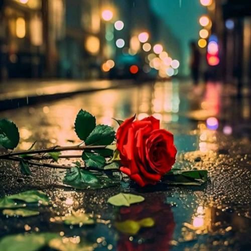 دانلود آهنگ الو صداتو شنیدم خدافظ ذوق میکنم هنوز ببینم 