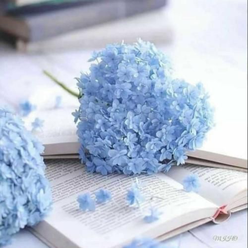 دانلود آهنگ خودم ستارت میشم تو میشی آسمونم 
