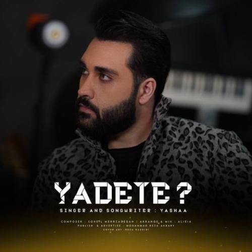 دانلود آهنگ یادته یاشا