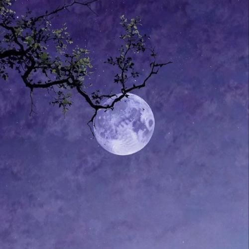 دانلود آهنگ تا اومد یادم بره باز اعتماد کردم و حالم کدر