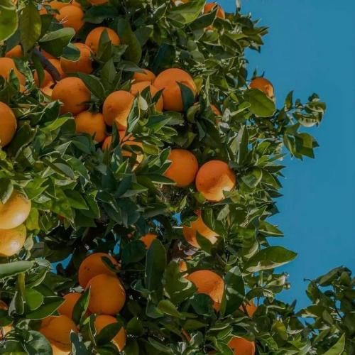 دانلود آهنگ پیش من داری هنو احترام یاد من دادی نکن اعتماد
