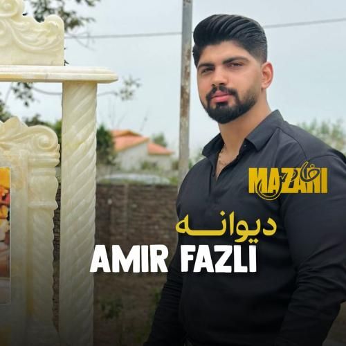 دانلود آهنگ جدید دیوانه از امیر فضلی