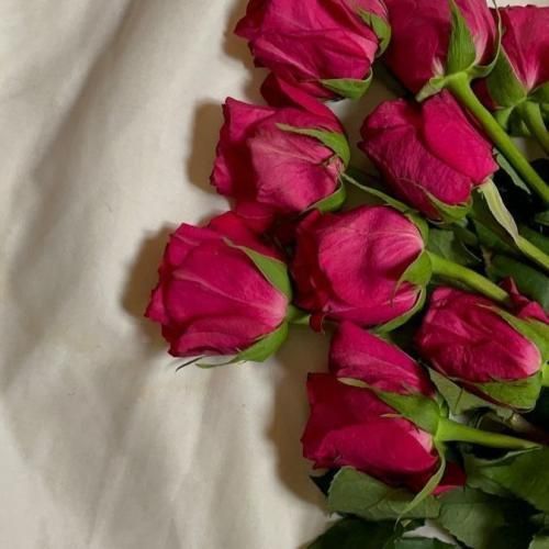 دانلود آهنگ نجنگ با من که میکنم جنگ برات